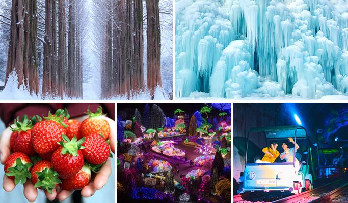 Nami Island + Eobi Ice Valley + Strawberry Picking 1 Day Tour from Seoul (+ Garden of Morning Calm/ Rail Bike options) - main view