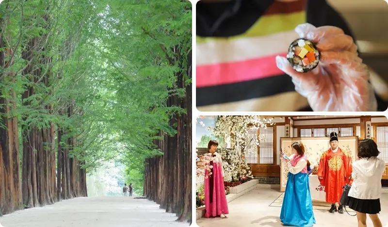 Nami Island + Hanbok & Gimbap Experience (+ Rail Bike/ Waterfall/ Eobi Ice Valley/ Strawberry Picking option) 1 Day Tour - from Seoul - main view