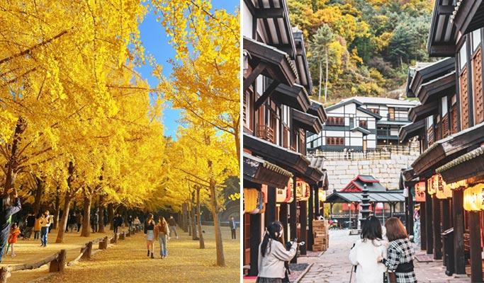 Nami Island & Nijimori Studio Tour (+ Garden of Morning Calm/ Rail Bike/ Alpaca World/ Petite France options) - main view