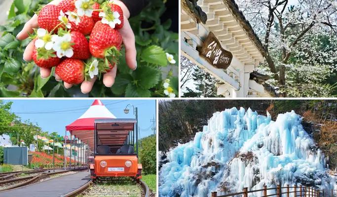 Seoul Vicinity: Nami Island + Gangchon Rail Bike + Strawberry Picking (+ Eobi Ice Valley) 1 Day Tour - main view