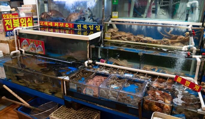 Noryangjin Fish Market Half Day Walking Tour & Food Tasting - main view