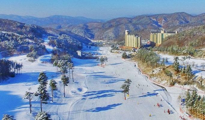 Seoul ↔ Oak Valley Ski Resort Shuttle Bus - main view