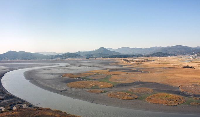 Suncheon 1 Day Private Tour from Busan (Van/ Minibus/ Big Bus) - main view