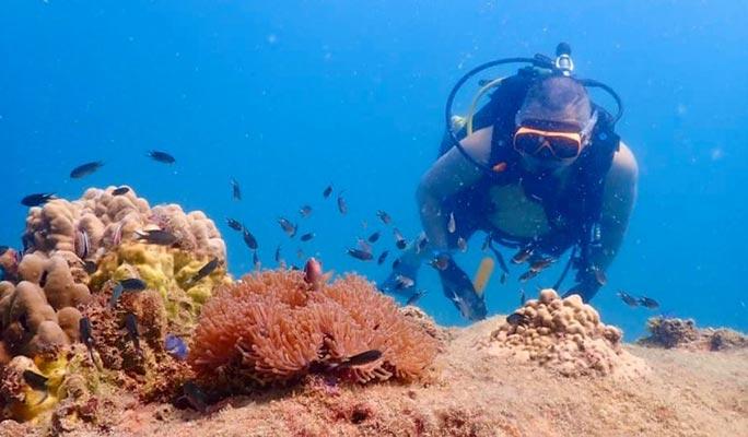 Pattaya Scuba Diving / Snorkeling 1 Day Tour (+Lunch) (+ Hotel Transfer option) - main view