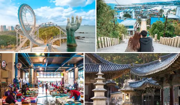 Explore 5 Pohang Highlights in 1 Day from Busan - main view