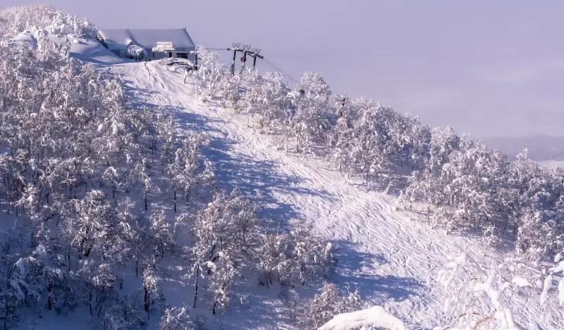 Hokkaido Resort Liner: Noboribetsu ↔ Rusutsu & Niseko Ski Resort Shuttle Bus Ticket (Dec 23~Feb 28) - main view