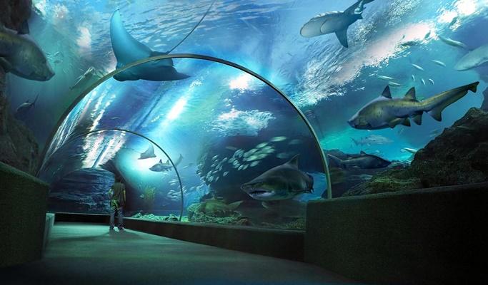 SEA LIFE Bangkok Ocean World Discount Ticket (+Madame Tussauds Ticket Option) - main view
