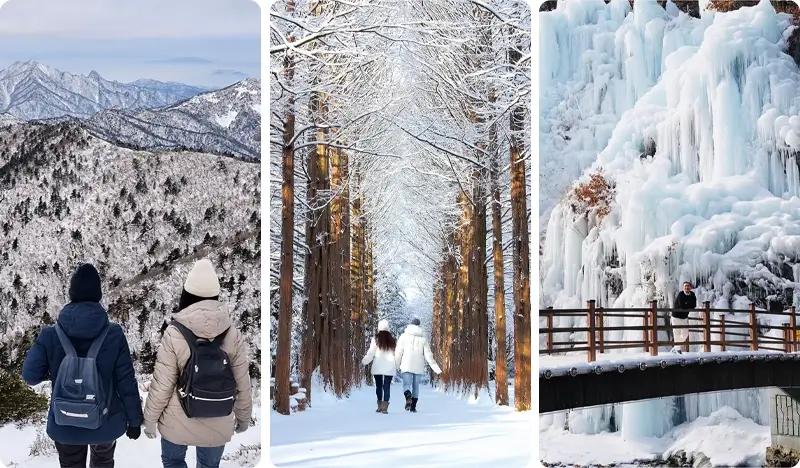 Seoraksan and Nami Island (+ Eobi Ice Valley) 1 Day Tour - from Seoul (Sept 16~Feb 28) - main view