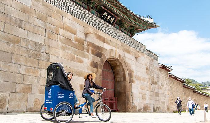 Seoul Pedicab Tour - main view