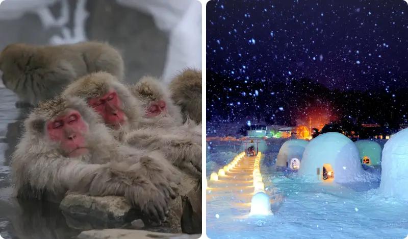 Nagoya Snow Monkey Park (+ Kamakura no Sato) 1 Day Tour - from Tokyo (Dec 13~Mar 31) - main view