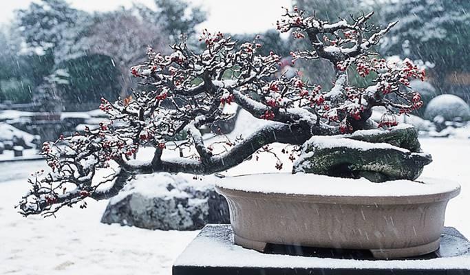 Spirited Garden Jeju Entrance Ticket - main view