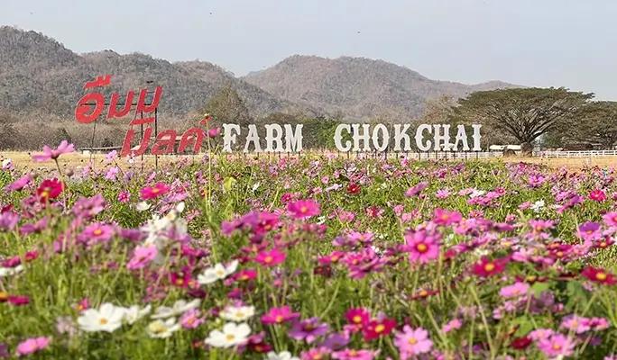 Khao Yai 1 Day Private Taxi Tour - from Bangkok - main view