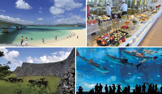 Okinawa Regular Sightseeing Bus: Kouri Island/ Nakijin Castle/ Churaumi Course - main view