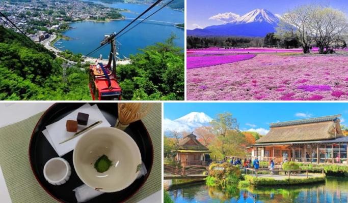 Mt. Fuji Special: Panoramic Ropeway (Cable Car) + Lake Kawaguchi & Matcha Experience + Oshino Hakkai 1 Day Tour from Tokyo - main view