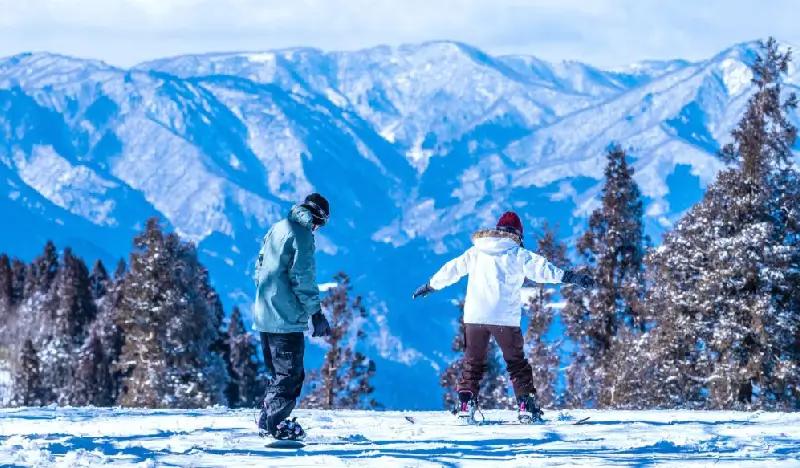 WhitePIA Takasu: 1 Day Lift Pass & Shuttle Bus Package from Nagoya - main view