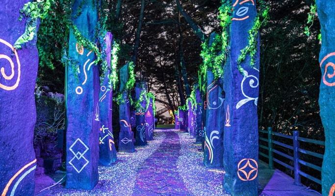 Tongyeong Dpirang Night Theme Park Discount Ticket Package (+ Adventure Tower/Cable Car) - main view