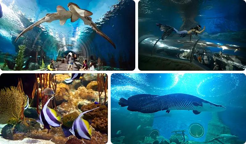 Underwater World Pattaya Discount Ticket - main view