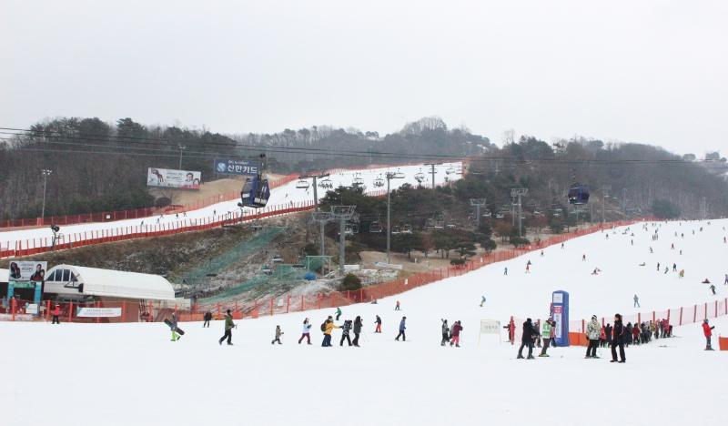 Vivaldi Park Ski Resort: 1 Day Ski/Snowboard/Snowy Land Snow Sled Tour - main view