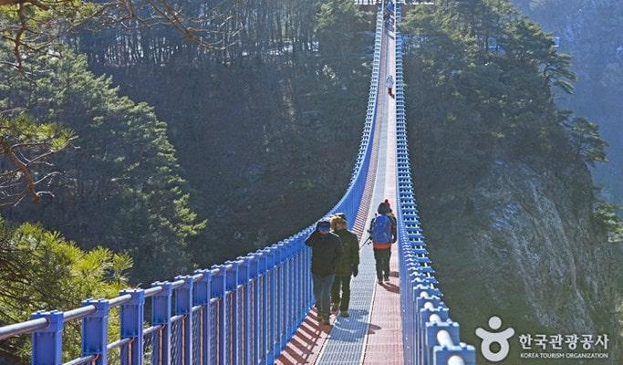 Wonju Suspension Bridge & Hwadam Botanic Garden/OOZOO Illumination Garden 1 Day Tour - main view