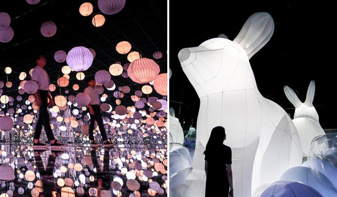 [Glocal] Yeosu Aqua Planet & Arte Museum Combo Ticket - main view