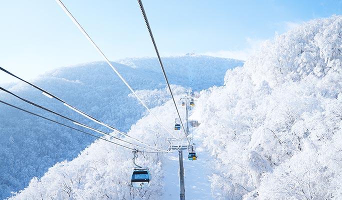 Yongpyong Ski Resort: 2026 FUN Ski/Snowboard Festival 2D1N/3D2N/4D3N Package (Jan~Mar) - main view