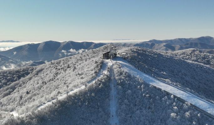 Yongpyong Ski Resort Room Reservation (Winter Ski Season) - main view