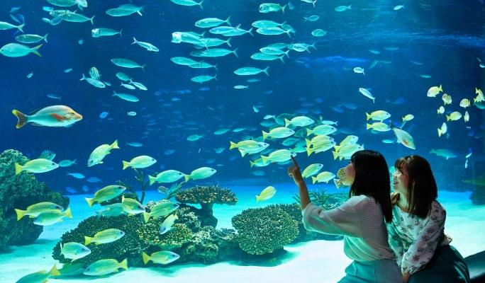 Tokyo Sunshine Aquarium Ticket - main view