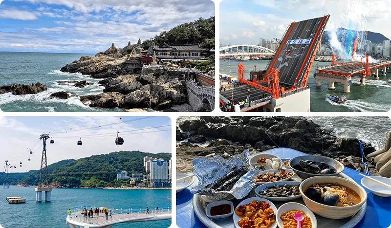 Busan Local 1 Day Tour: Haedong Younggungsa Temple + Yeongdo Bridge + Haenyeo Village + Songdo Cable Car & More - main view