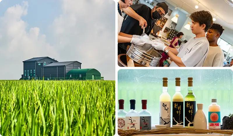 Visit a Korean Brewery from Seoul with Lunch & Alcohol Tasting