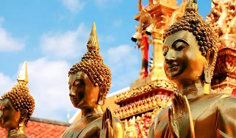 Wat Phra That Doi Suthep & Meo Hilltribe Village Tour in Chiang Mai (Half Day) (Join-in/Private) - main view