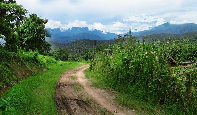 Doi Suthep-Pui National Park Half Day Private Tour in Chiang Mai (+Lunch) (+ Hotel Transfer) - main view
