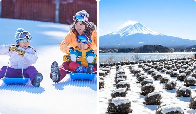 Fujiten Snow Resort + Oishi Park Sightseeing: 1 Day Ski/Snow Sled Tour - from Tokyo - main view