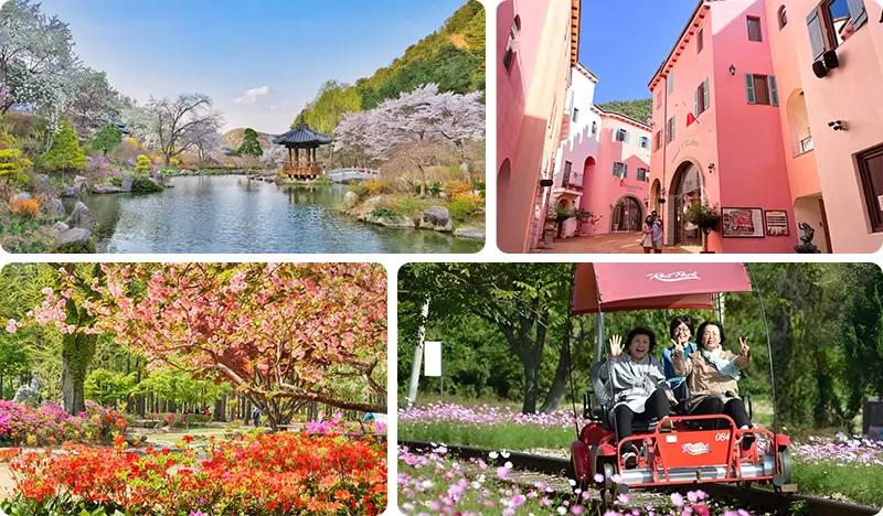 Nami Island + Petite France & Italian Village + Gangchon Rail Bike + Garden of Morning Calm Tour - main view