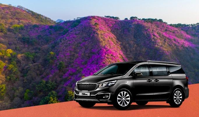 Spring Special: 2026 Goryeosan Mountain Azalea Festival Private Tour - from Seoul (Apr 6~12) - main view