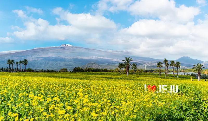 Jeju Hueree Natural Park Discount Ticket - main view