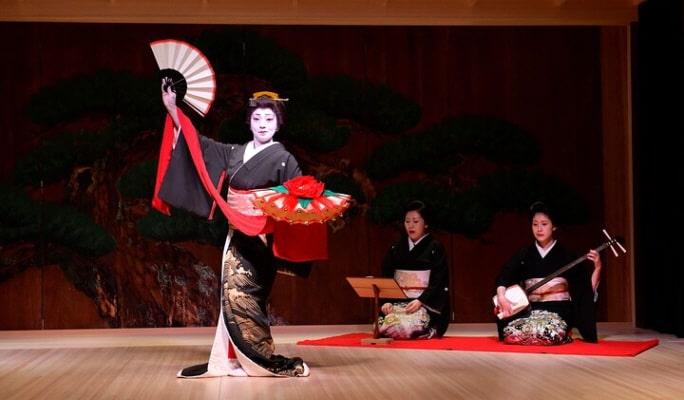 Tokyo Private Walking Tour & Japanese Traditional Performance with Dinner - main view
