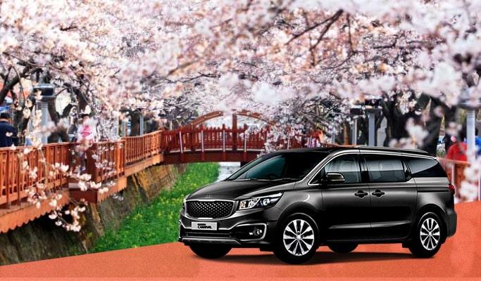 Spring Special: Jinhae Cherry Blossom Festival Private Tour - from Seoul (Mar 27~Apr 6) - main view