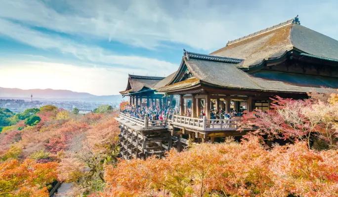 Kyoto & Nara Highlights 1 Day Tour from Osaka - main view