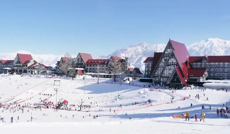 Joetsu Kokusai Ski Resort: 2D1N/3D2N Ski/Snowboard Package From Tokyo (Jan 25~Mar 13) - main view