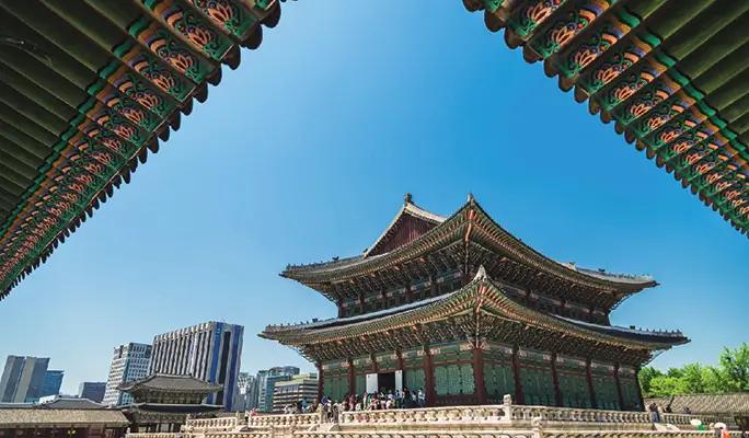 Gyeongbokgung Palace & Bukchon Hanok Village (+ Gwangjang Market Foodie/ Night View) Walking Tour - main view