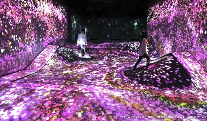 teamLab Forest Fukuoka Ticket - main view