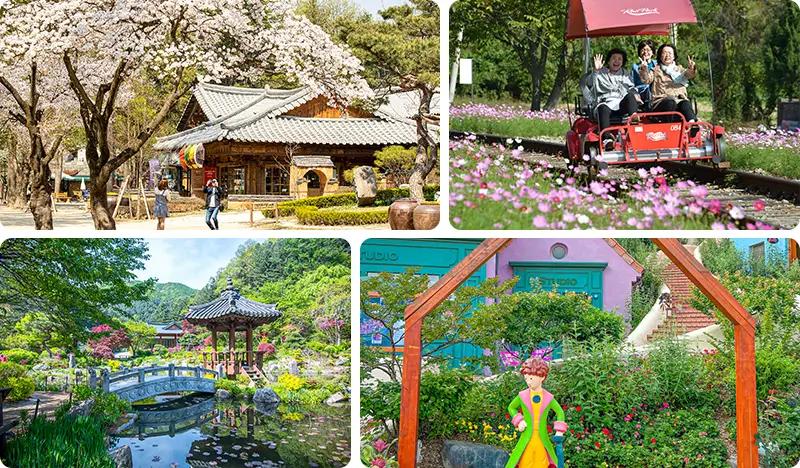 Nami Island & Rail Bike (+ Garden of Morning Calm or Petite France & Italian Village) Tour - main view