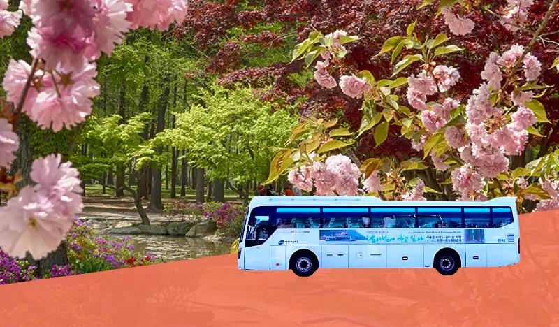 2D1N Nami Island Shuttle Bus + Ticket + Hotel Package - main view
