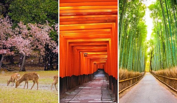 Kyoto & Nara 1 Day Tour: Nara Park & Fushimi Inari Shrine & Arashiyama from Osaka/ Kyoto - main view