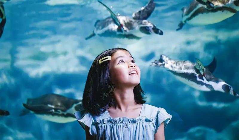 DMM Kariyushi Aquarium Entrance Ticket in Okinawa - main view