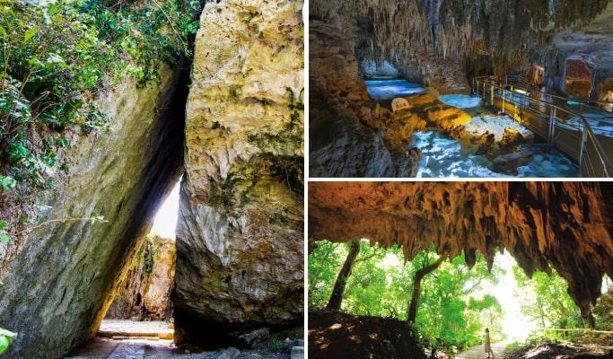 Southern Okinawa Half-day Sightseeing Bus (Okinawa World Course/ Gangala Valley Course) - main view