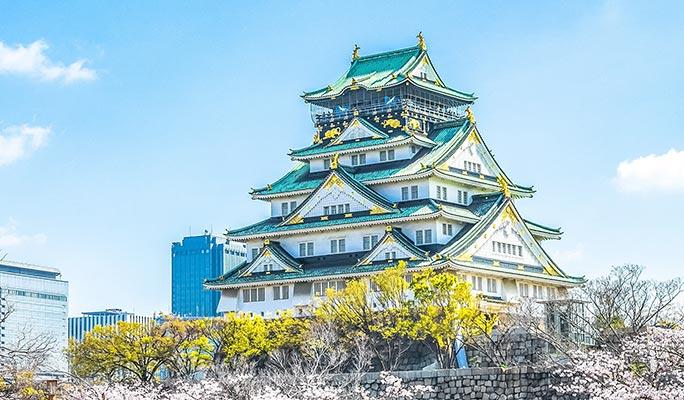 Osaka Must-See Spots 1 Day Private Tour - main view