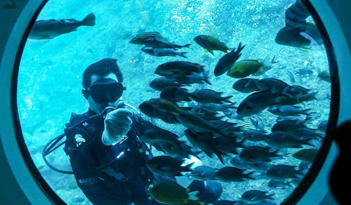 Seogwipo Submarine – Amazing Underwater Experience in Jeju - main view