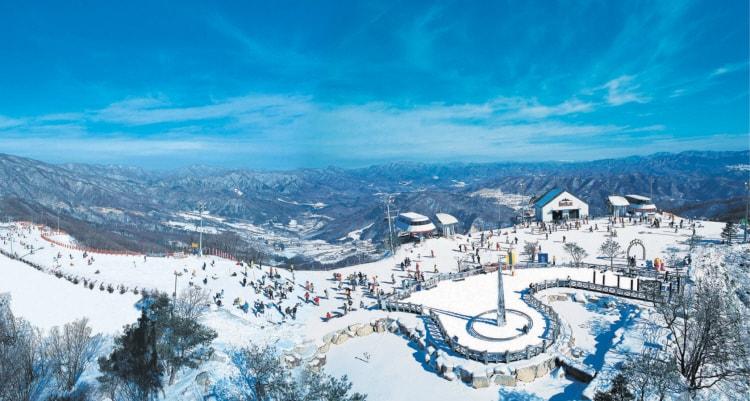 Seoul ↔ Phoenix Park Ski Resort Shuttle Bus - main view