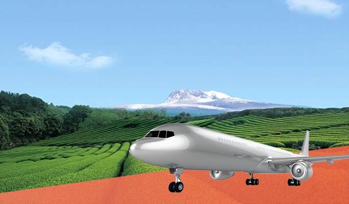 Visit Jeju Island in 1 Day from Daegu (Round-trip Flights & Group Tour Included) - main view